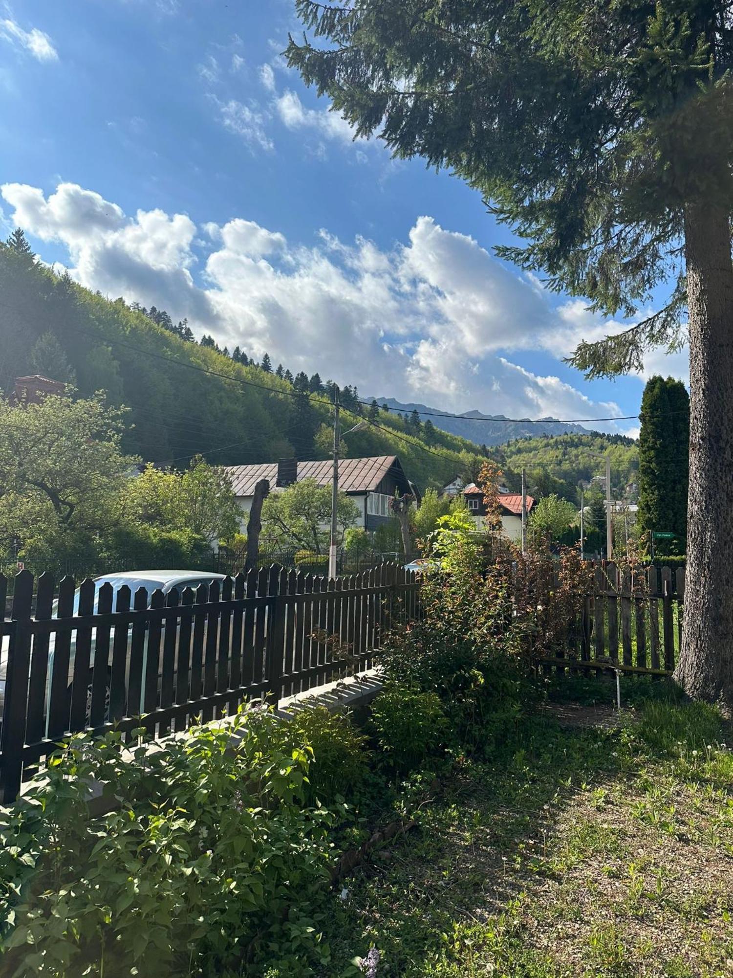Bed and Breakfast Rapsodia Sinaia Exterior foto