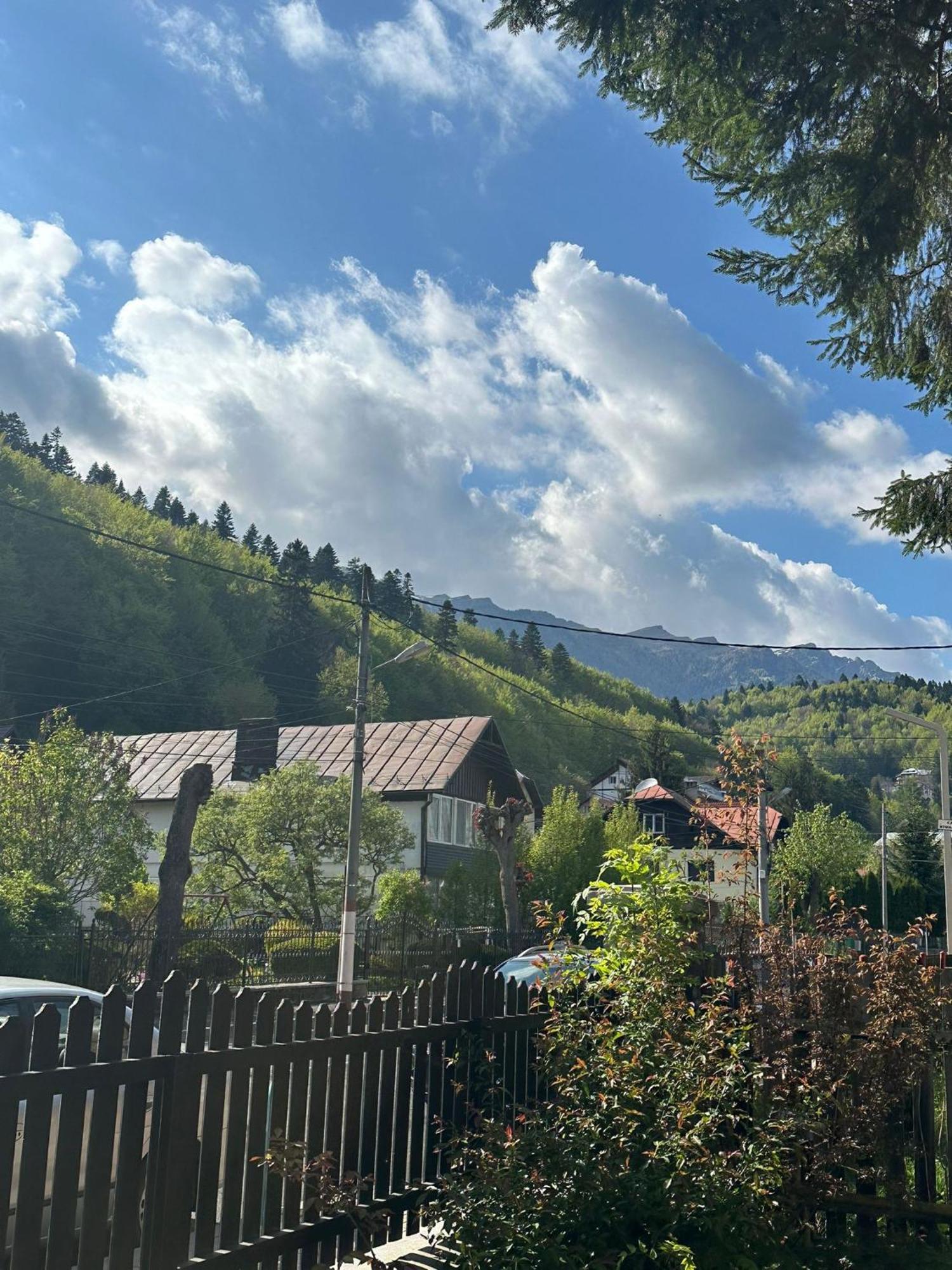 Bed and Breakfast Rapsodia Sinaia Exterior foto