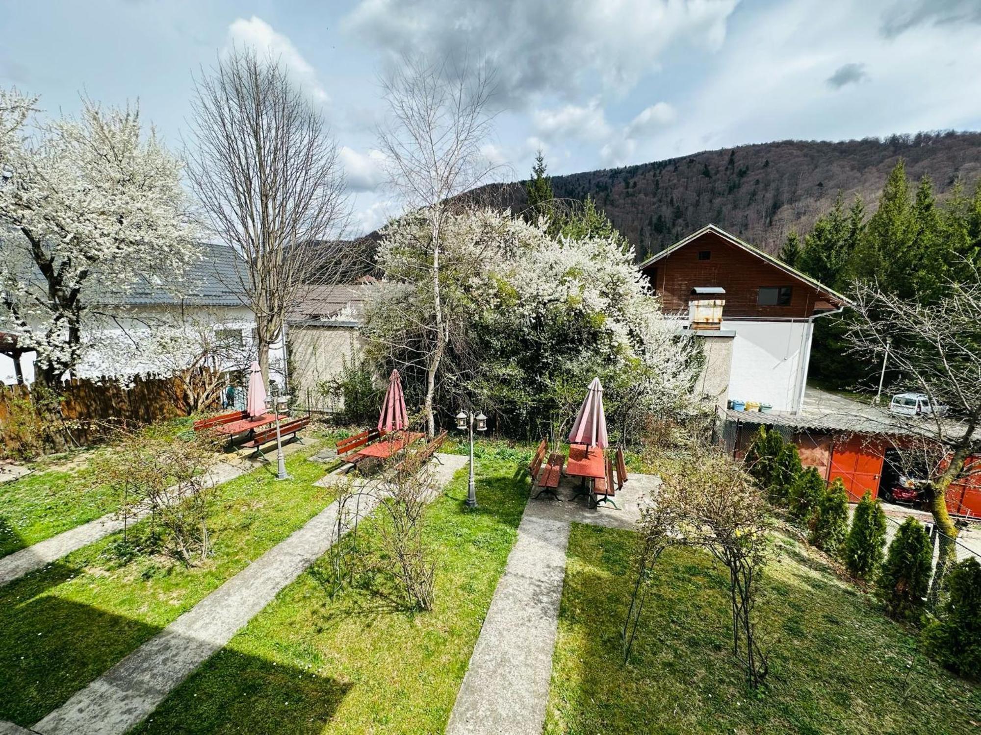Bed and Breakfast Rapsodia Sinaia Exterior foto