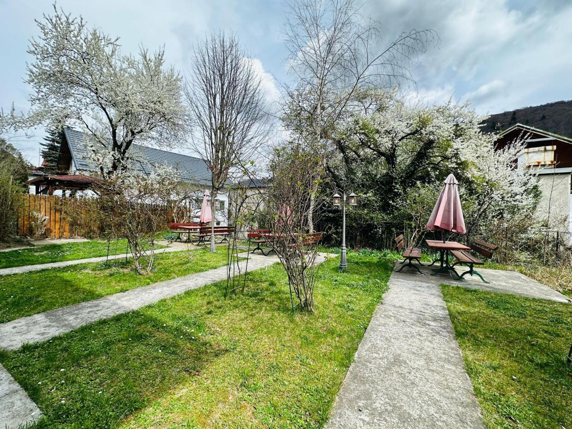 Bed and Breakfast Rapsodia Sinaia Exterior foto