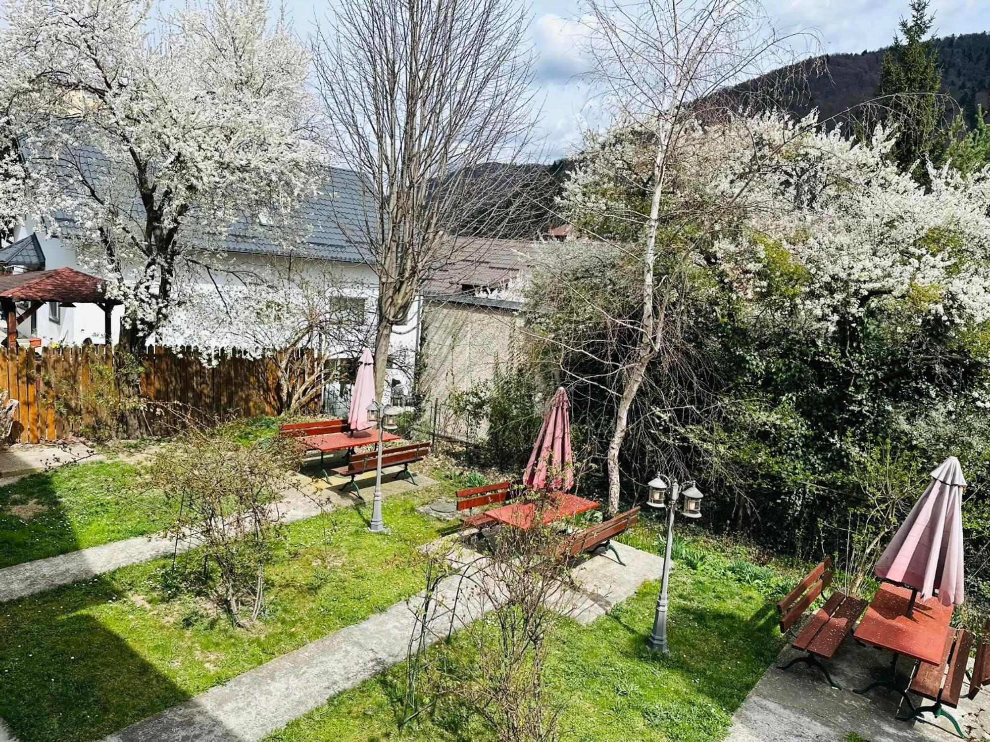 Bed and Breakfast Rapsodia Sinaia Exterior foto
